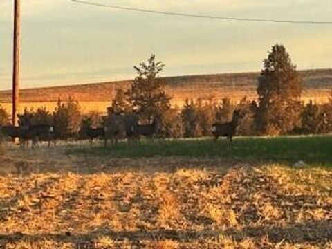 Tiny photo for 1201 US-26, Madras, OR 97741 (MLS # 220210459)