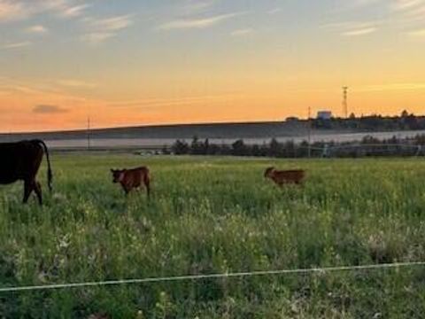 Tiny photo for 1201 US-26, Madras, OR 97741 (MLS # 220210459)