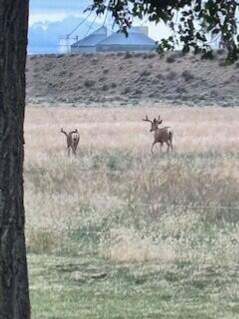 Tiny photo for 1201 US-26, Madras, OR 97741 (MLS # 220210459)