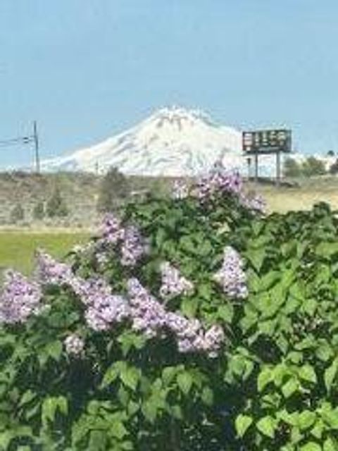 Tiny photo for 1201 US-26, Madras, OR 97741 (MLS # 220210459)