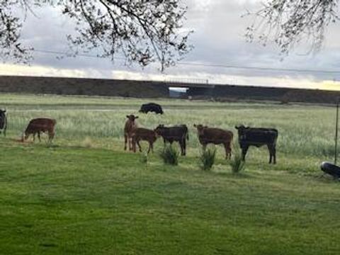 Tiny photo for 1201 US-26, Madras, OR 97741 (MLS # 220210459)