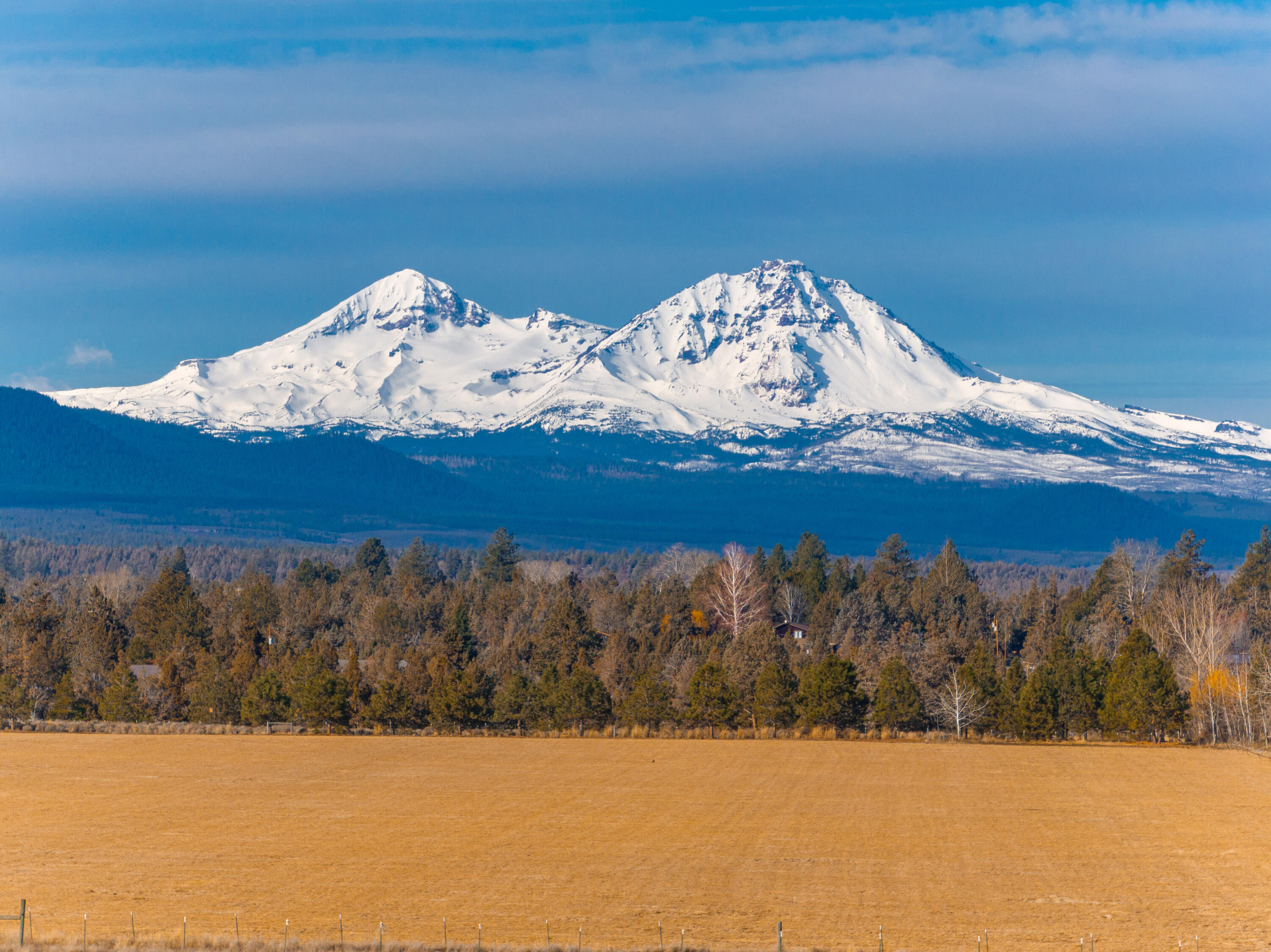 18870 Couch Market Road