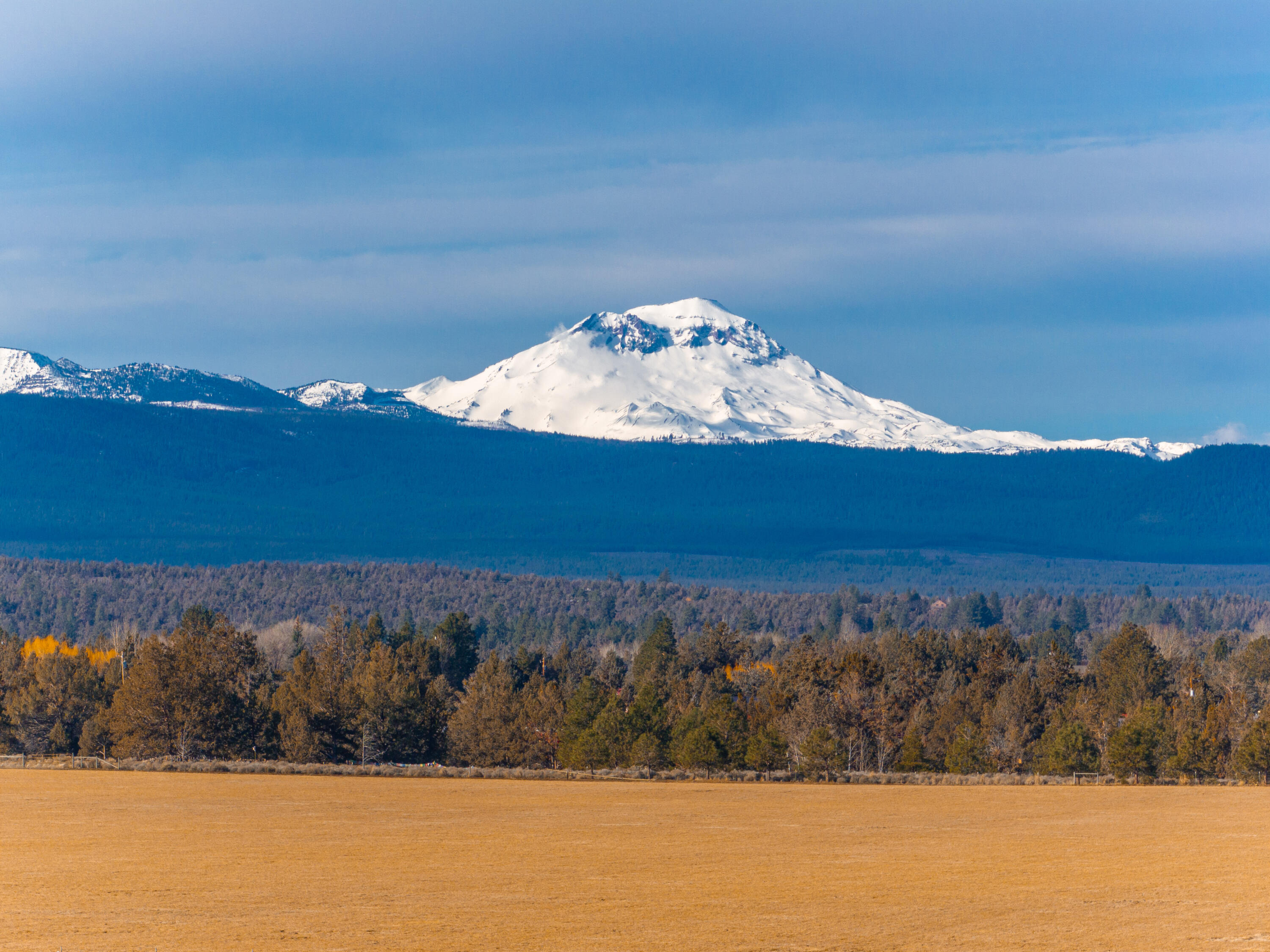 18870 Couch Market Road