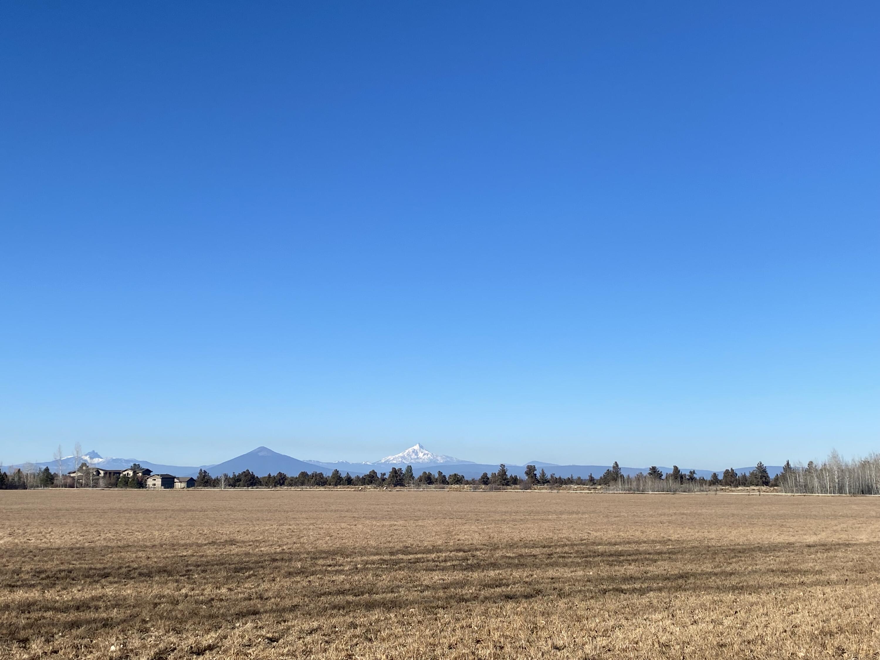 18870 Couch Market Road