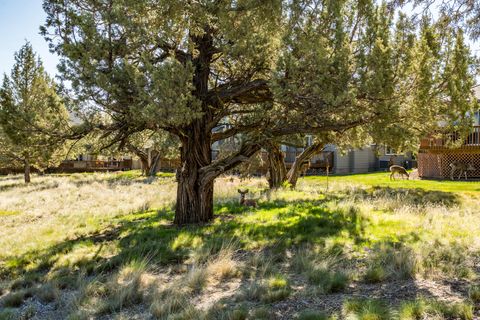 Tiny photo for 879 Golden Pheasant Drive, Redmond, OR 97756 (MLS # 220215836)