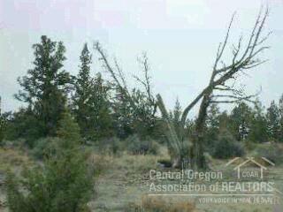 Whispering Pines - Land