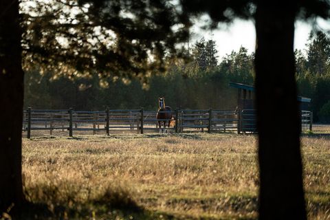 Tiny photo for 56053 School House Road, Bend, OR 97707 (MLS # 220174073)