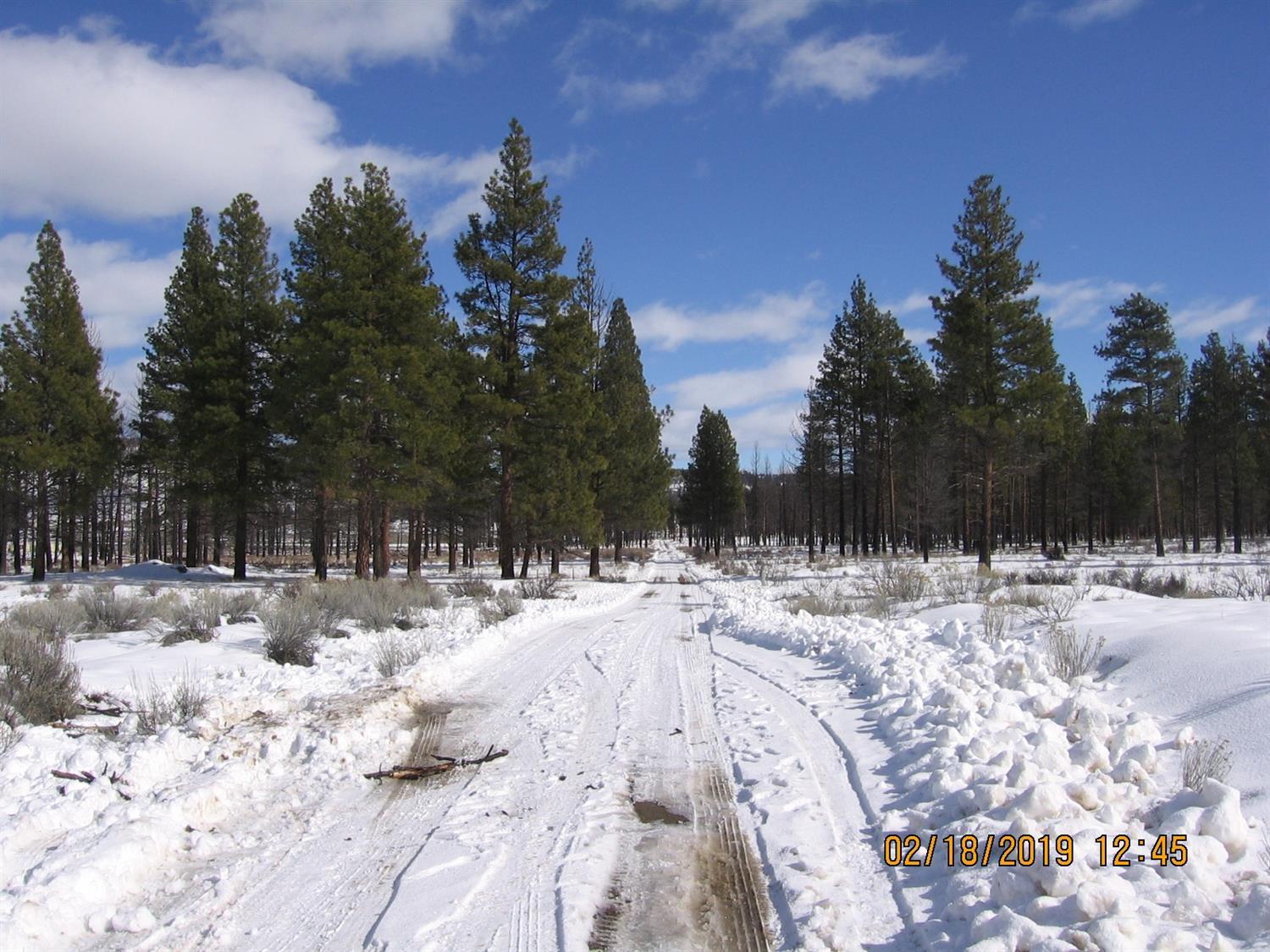 Klamath Forest Estates - Land