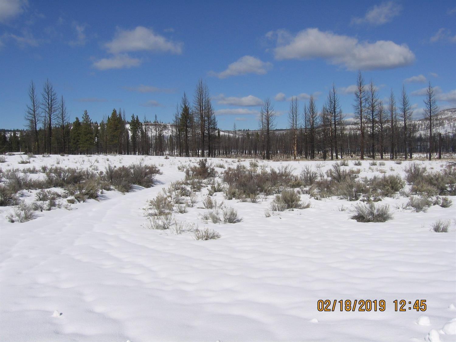 Klamath Forest Estates - Land