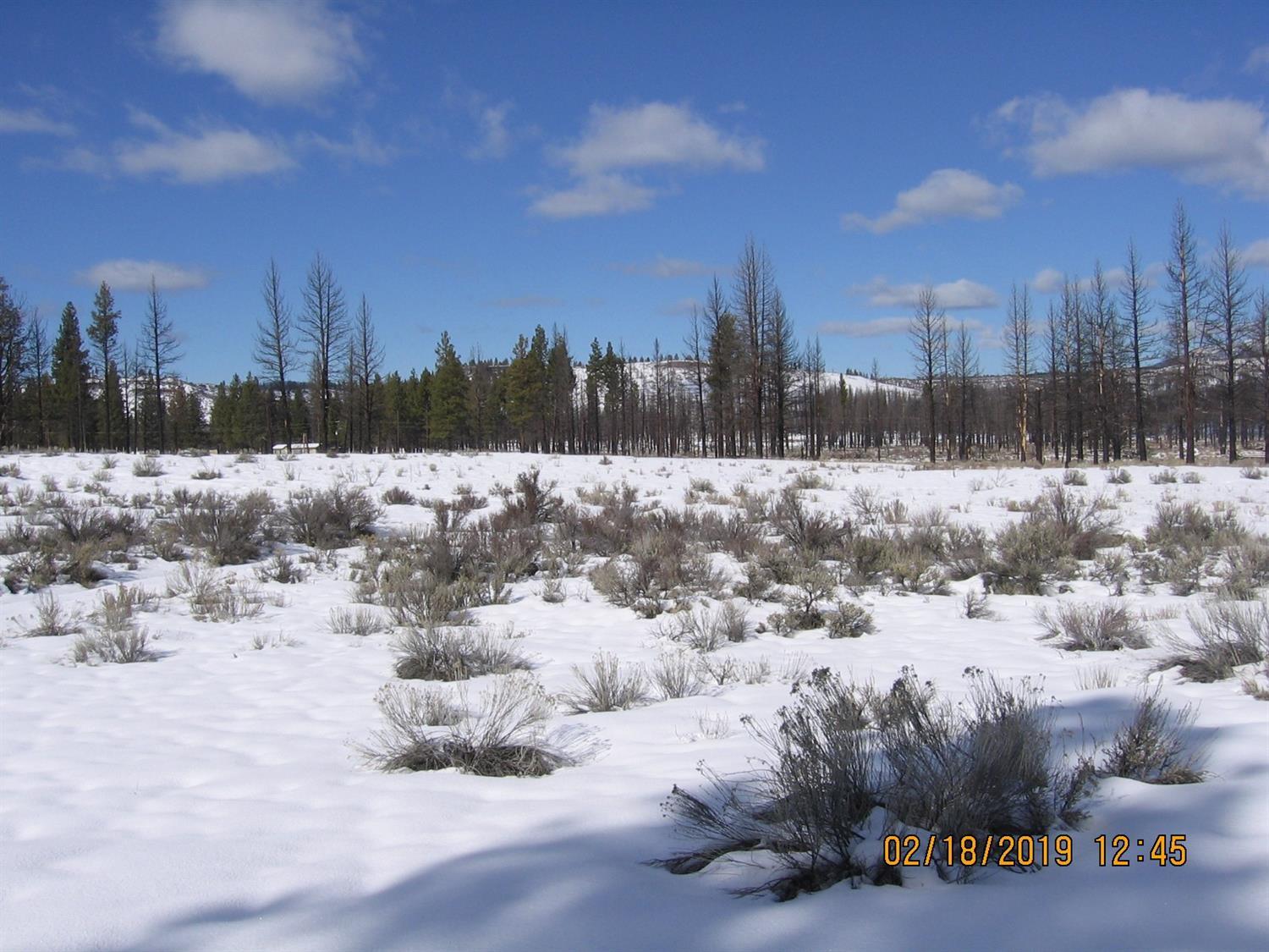 Klamath Forest Estates - Land