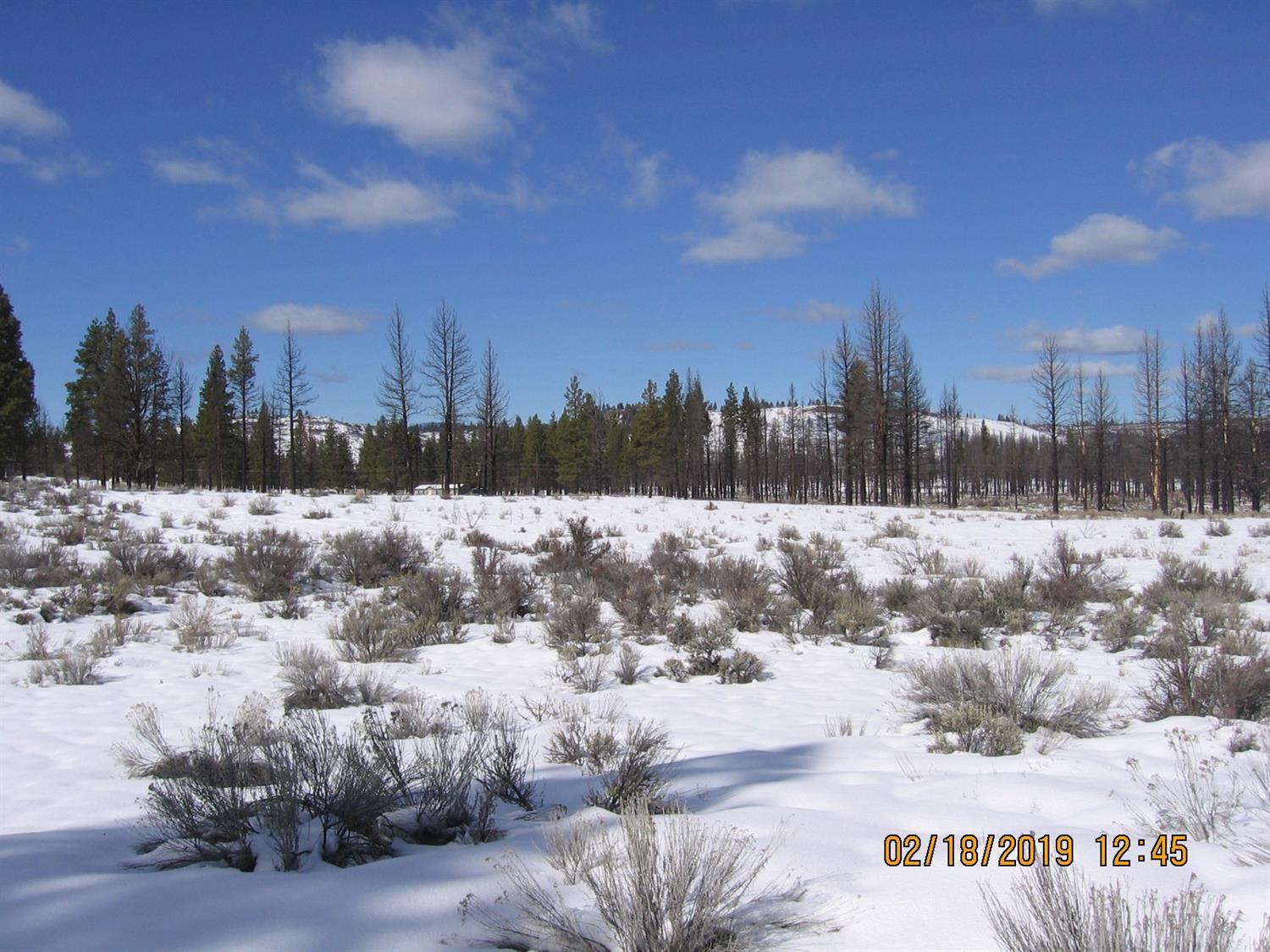 Klamath Forest Estates - Land