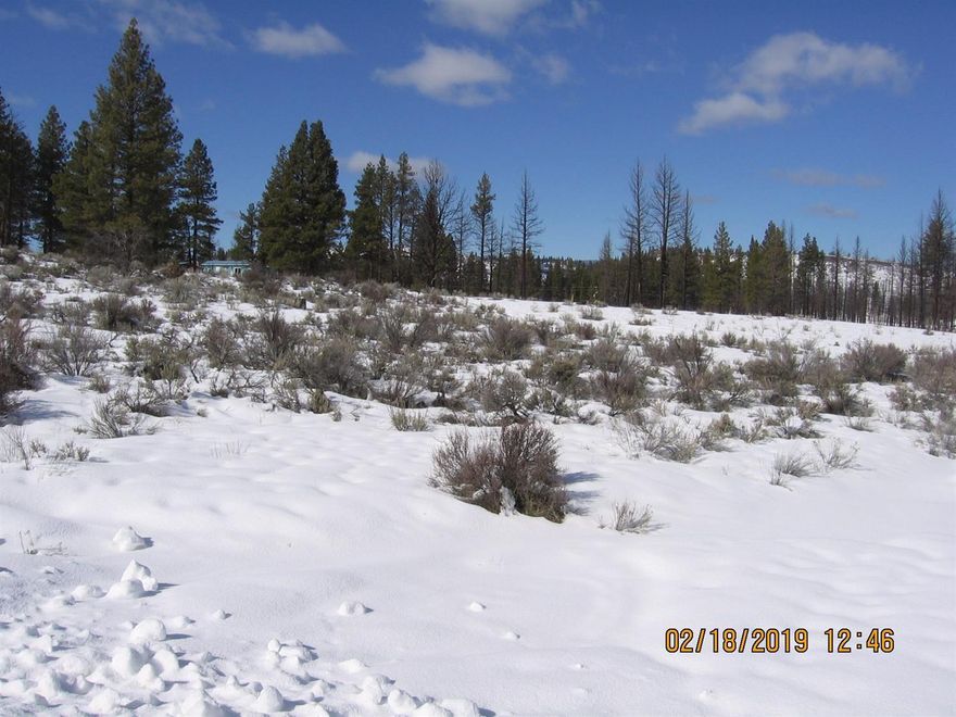 Nice, level and rolling lot with a scattering of pine trees! Located on one of the better maintained roads in Klamath Forest Estates! This is a great opportunity to have the perfect spot for your dream home or vacation get-away! Close to National Forest and lots of wildlife!