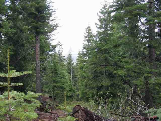 Sprague River - Land