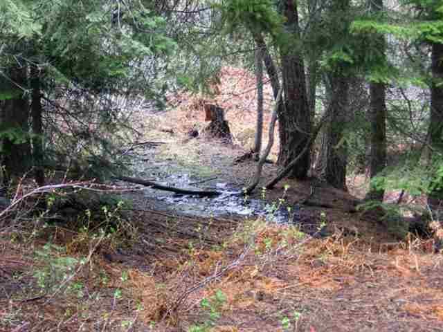 Sprague River - Land