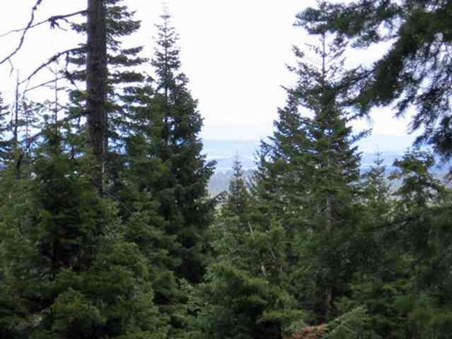 Here It Is! Nicely Timbered 10 Acres Bordered On 2 Sides By National Forest! Owner Has Obtained Easement Access By Way Of Forest Service Roads Which Will Be Recorded. Springs Are In The General Area Too. Not Many Like This So Don't Miss It!