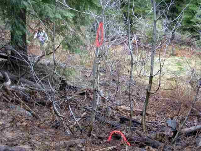 Sprague River - Land