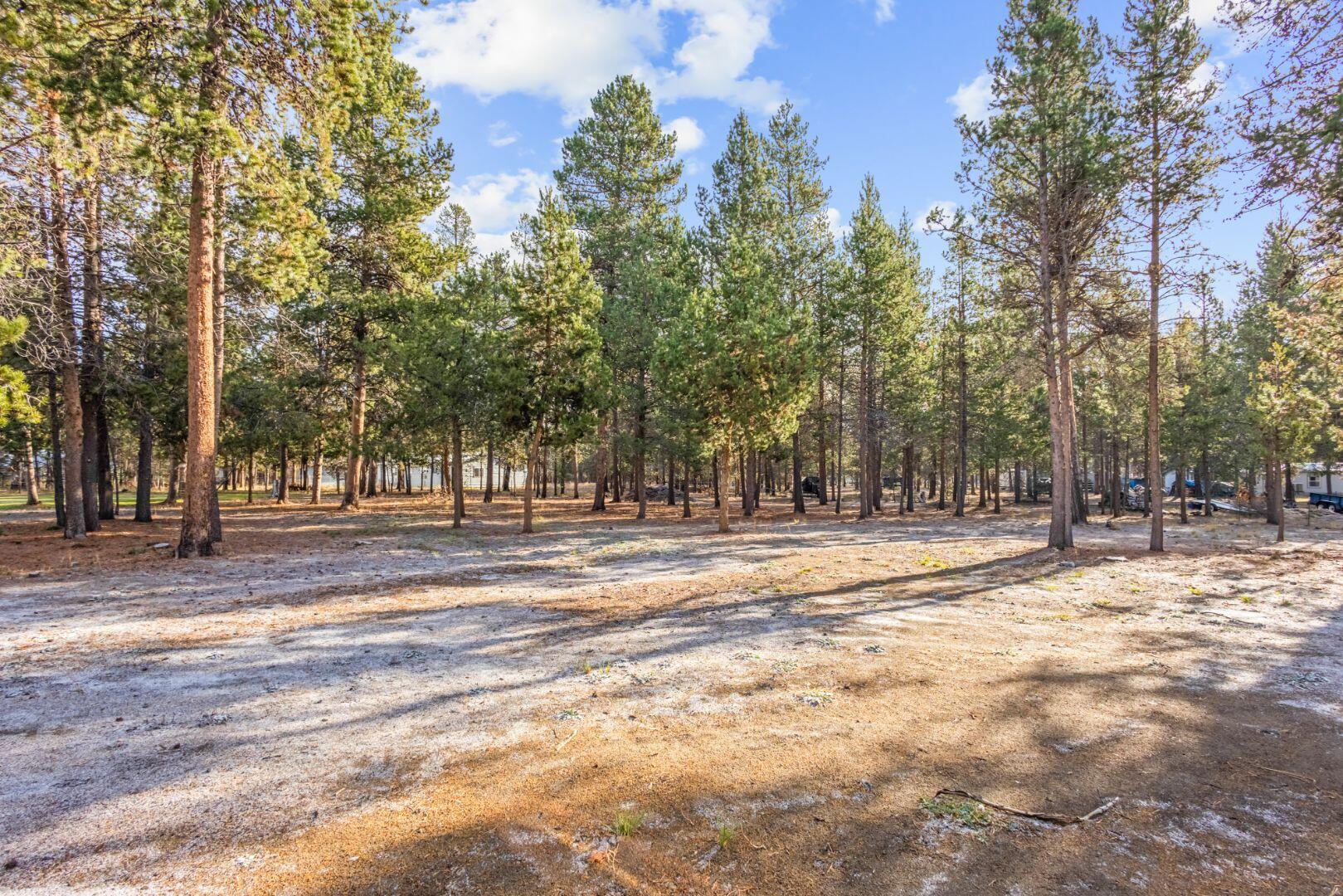 Tall Pines - Residential