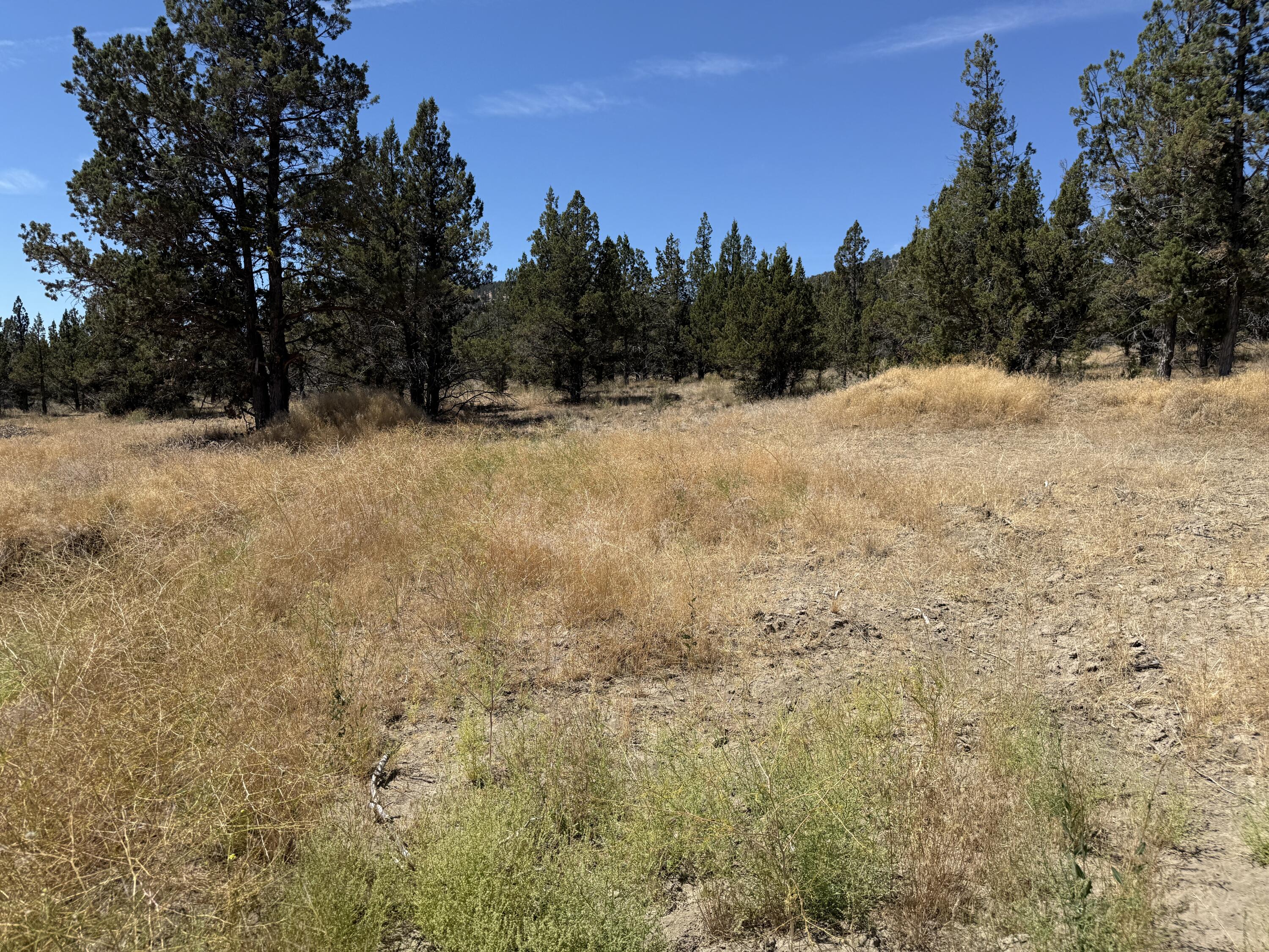 Ridgeview Estates - Land