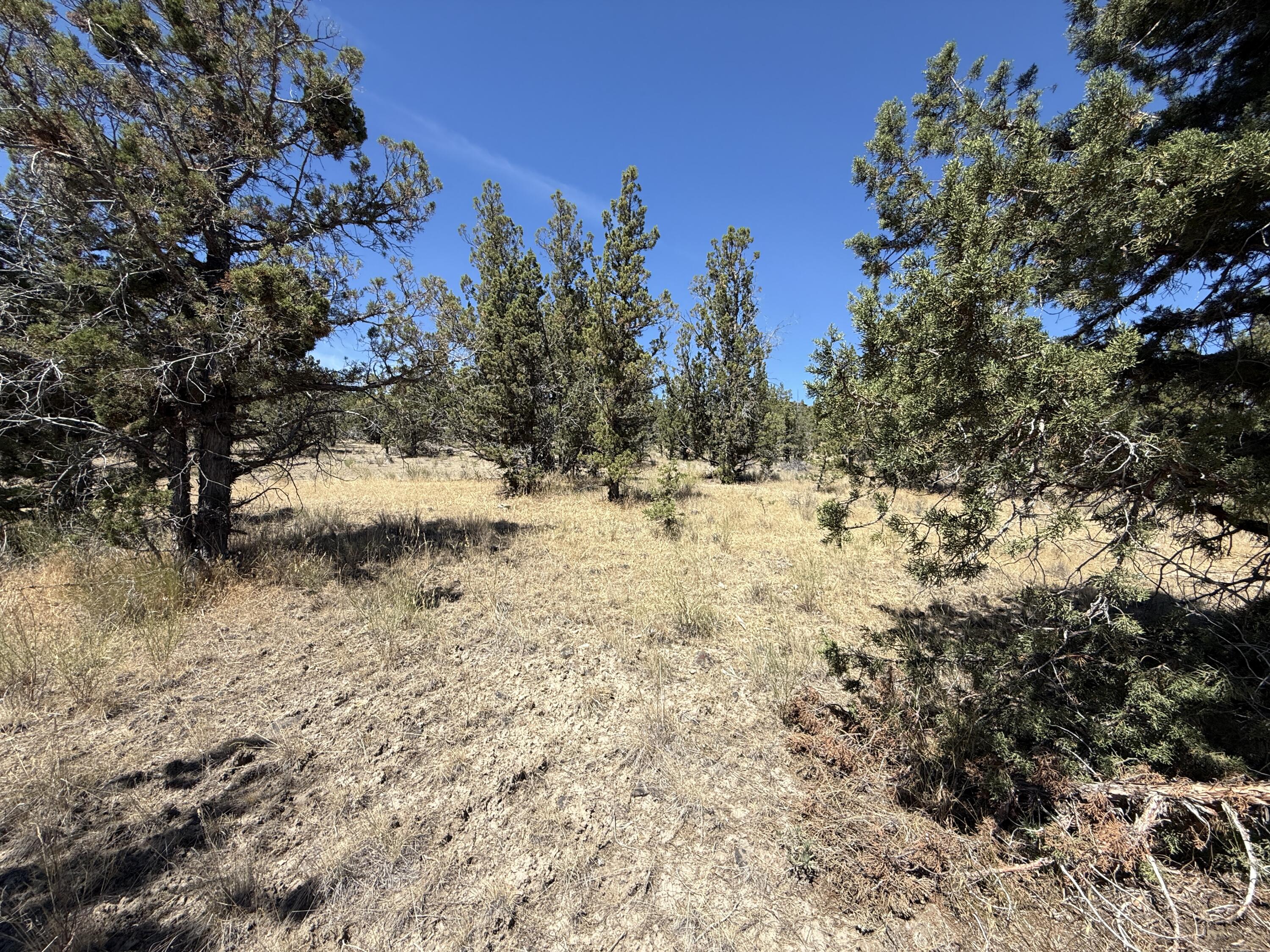 Ridgeview Estates - Land