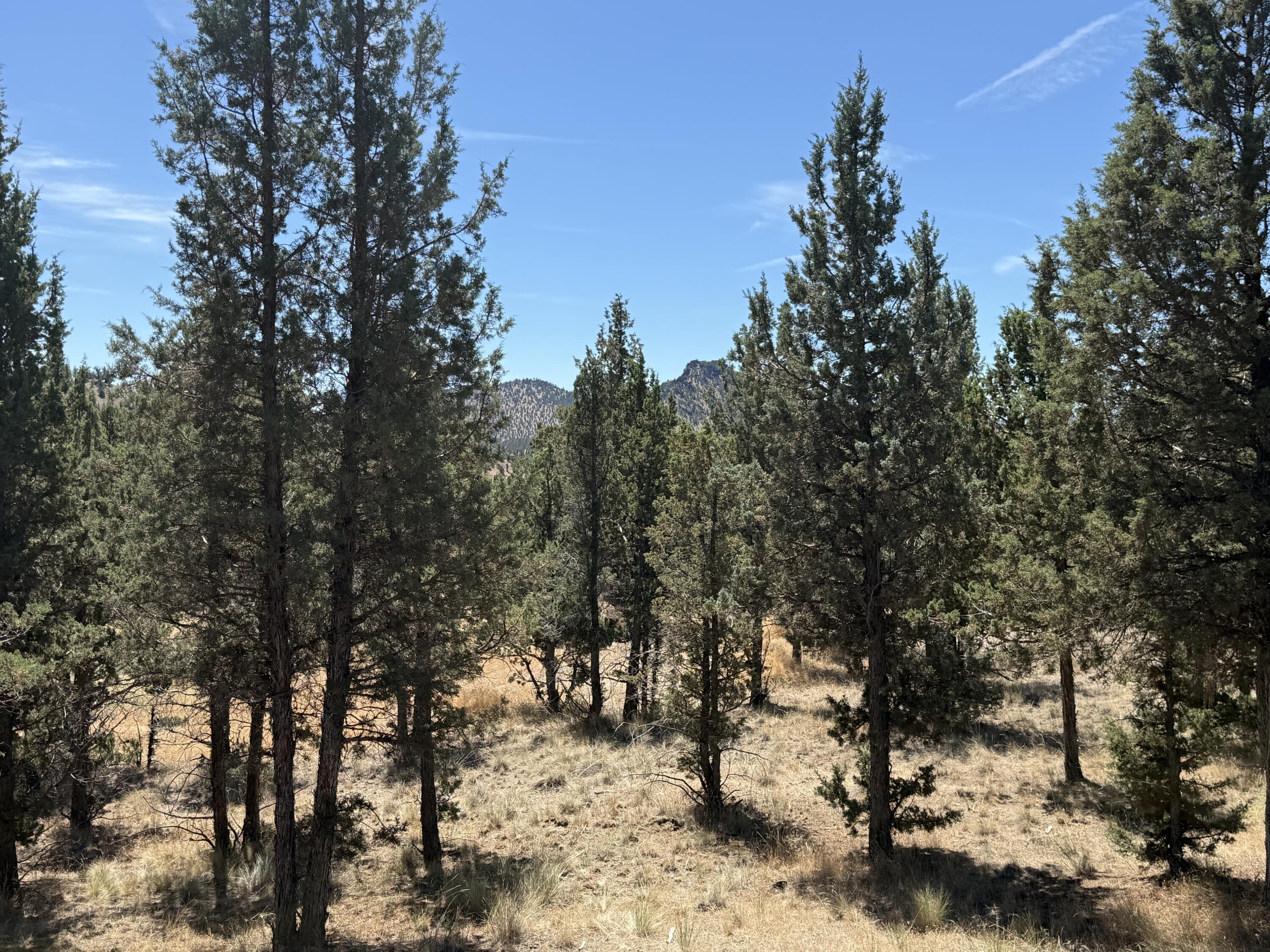 Ridgeview Estates - Land