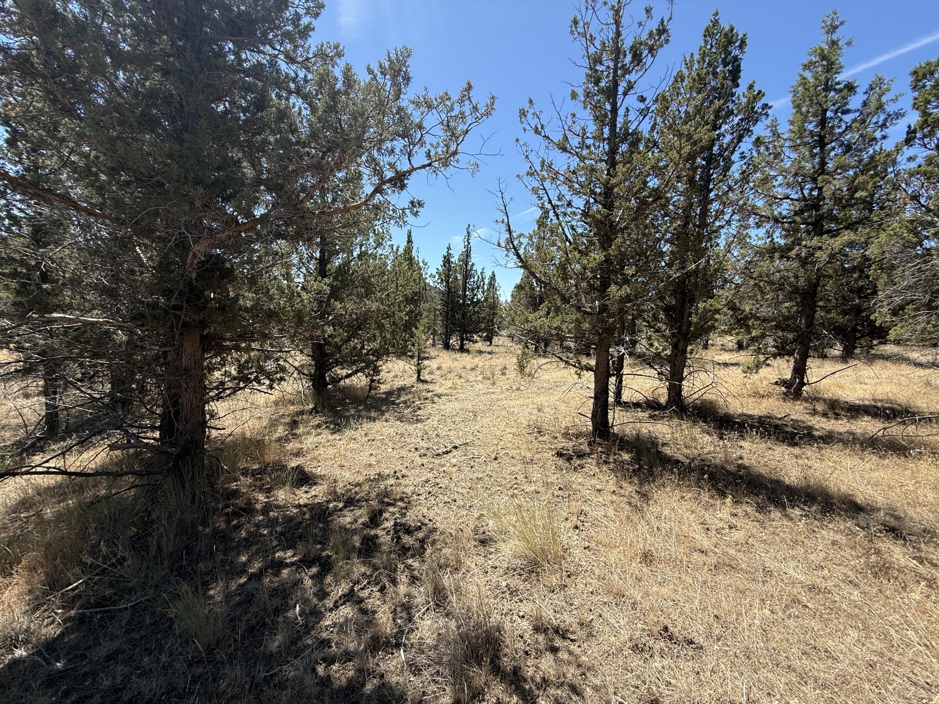 Ridgeview Estates - Land