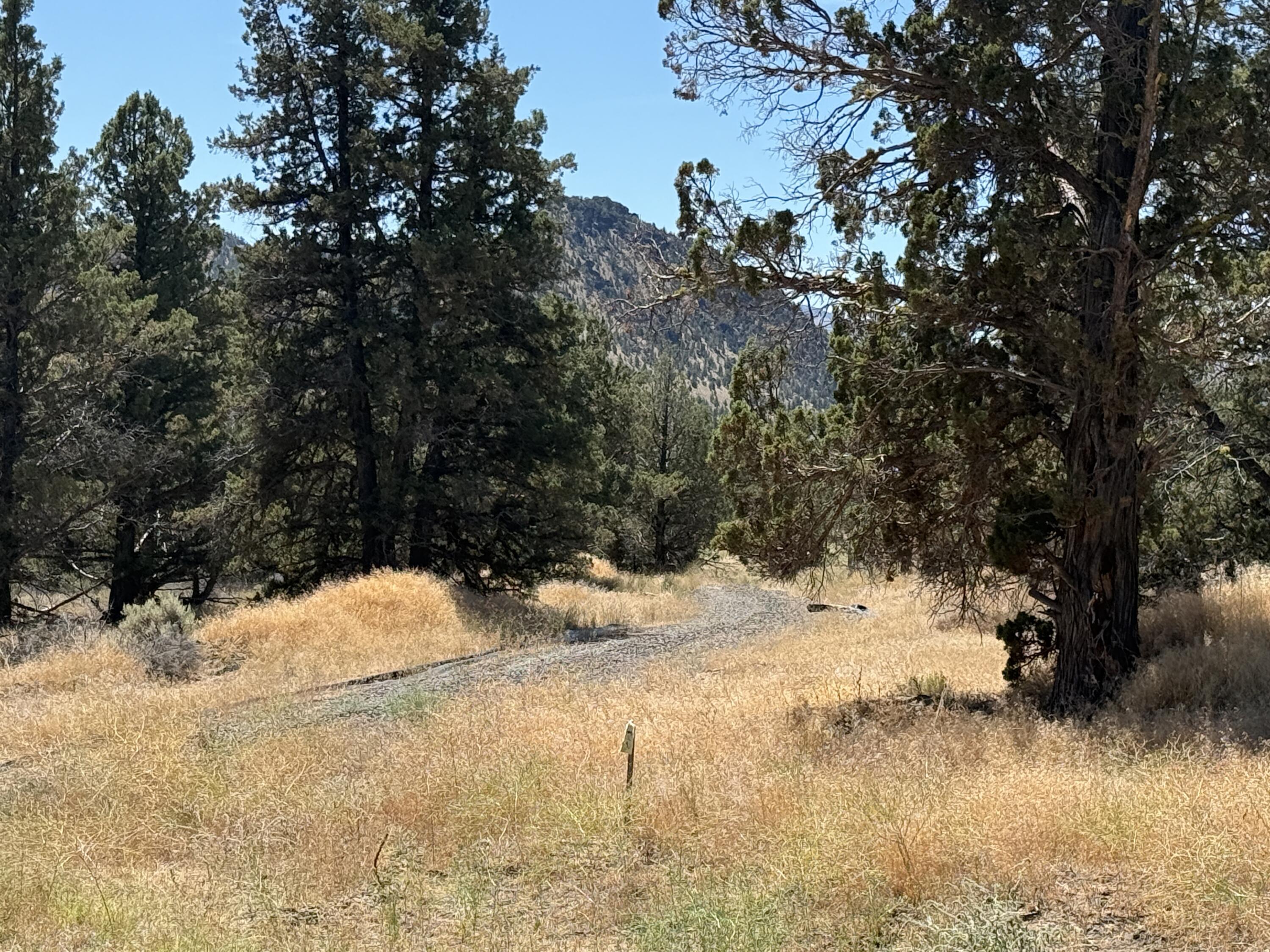 Ridgeview Estates - Land