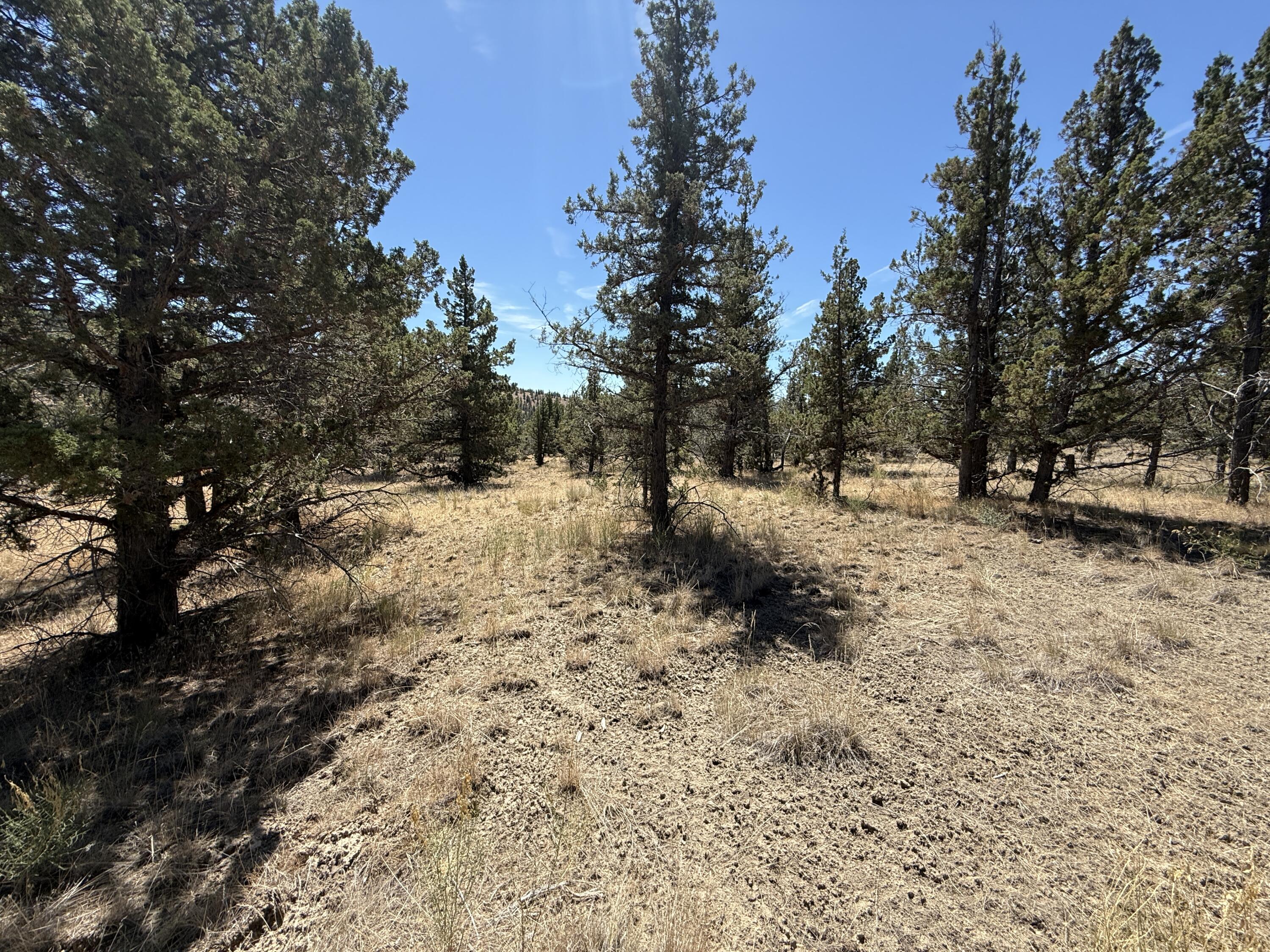 Ridgeview Estates - Land