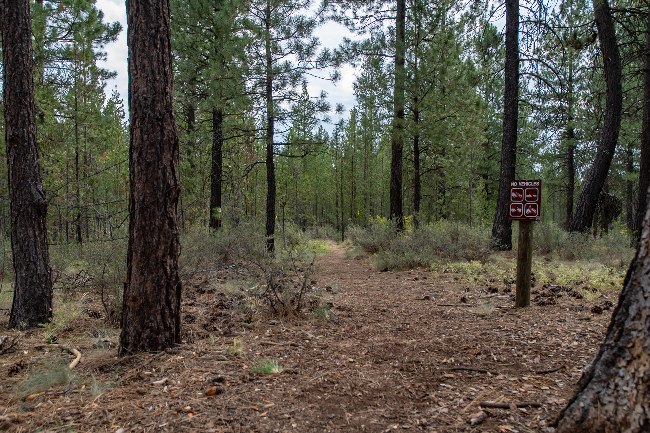 Spring River Acres - Residential