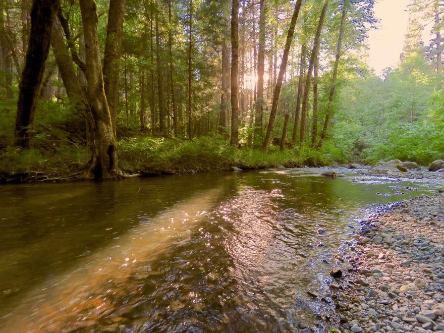 Applegate Valley's famous Educational/Retreat Center, Trillium, is ready for new stewards with abundant potential. Nestled in it's own valley with .25 miles of Little Applegate River & 360 degree ridgetop views makes for a diverse yet tranquil ecosystem. It's highly unique zoning for non-conforming use as an education center legally allows for it's many structures and housing included:  a community kitchen, school house, office and barn. For housing there is a 1930's farmhouse situated near a year round spring fed pond. 6 additional cabins are spread throughout the land w/ varying degrees of amenities. All sitting on 77 ac of fertile ground, oak and conifer forest, meadows and established organic gardens. Over 5000 ac of public lands w/ established trail systems merging with this property for endless exploration. Medford International Airport is within an hours drive allowing for easy access yet feels blissfully remote.