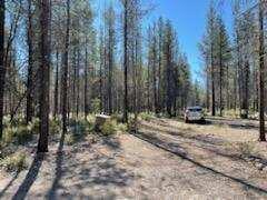 Mt. Scott Meadow - Land