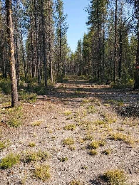 Mt. Scott Meadow - Land