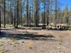 Mt. Scott Meadow - Land