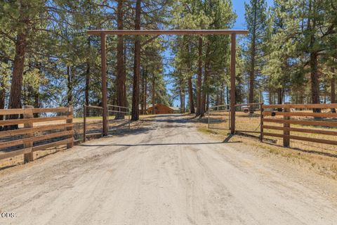 Tiny photo for 23125 Sprague River Road, Sprague River, OR 97639 (MLS # 220224306)