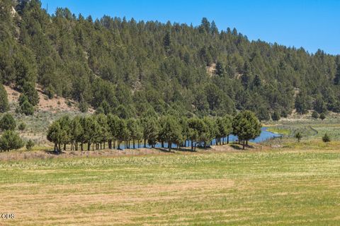 Tiny photo for 23125 Sprague River Road, Sprague River, OR 97639 (MLS # 220224306)