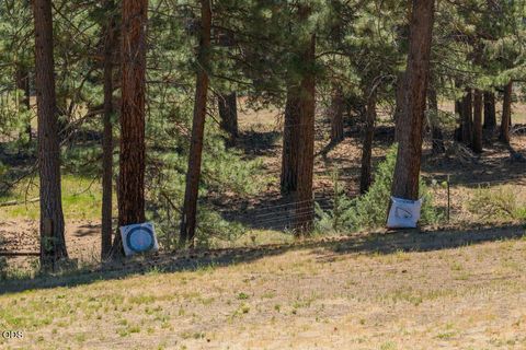 Tiny photo for 23125 Sprague River Road, Sprague River, OR 97639 (MLS # 220224306)