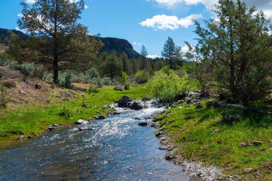 Ever dream of owning your own ranch on a river and with a creek flowing through, fish for largemouth bass, rock bass, smallmouth bass, and rainbow trout, plus hunt for mule deer, Rocky Mountain elk, upland game birds, and waterfowl, right out your door? North Fork Ranch just might fit the bill, boasting 2.5± miles of North Fork John Day River frontage, plus Rudio Creek flows through the ranch for 1.5± miles.
North Fork Ranch has varied terrain ranging from sagebrush-covered tabletops, lava escarpments, and rimrocks giving way to sloping pastures and timbered draws culminating in the Rudio Creek and North Fork of the John Day River canyons, all providing excellent habitat for mule deer and Rocky Mountain elk. The ranch's 2,720± deeded lands border an additional 2,820± acres of BLM lands, which are part of the Birch Creek Allotment in which the ranch has a grazing preference for 189 AUMs. The North Fork Ranch is located near Kimberly's quaint, unincorporated community in Grant County, OR