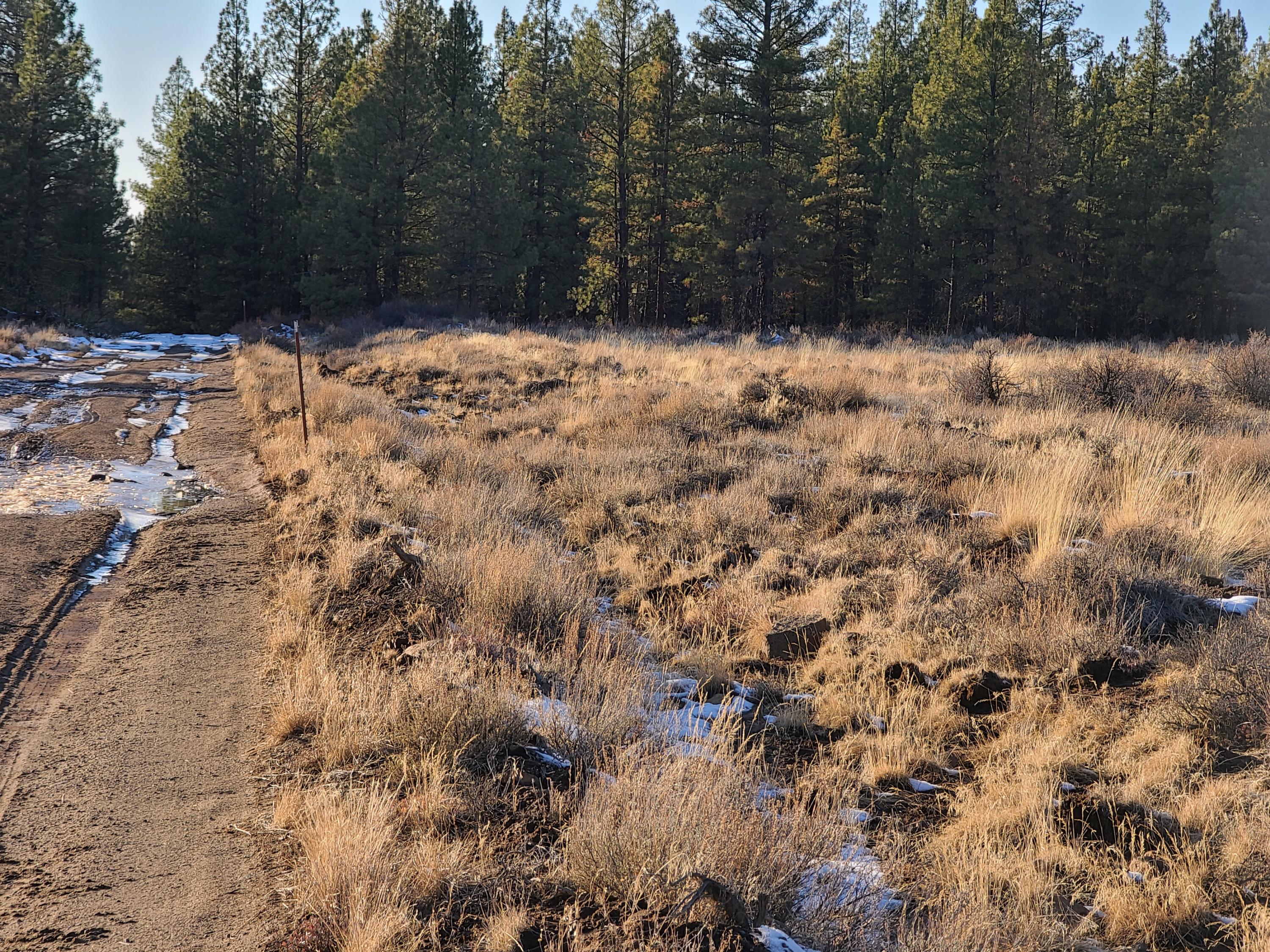 Klamath Falls Forest Estates -Sycan Unit - Land