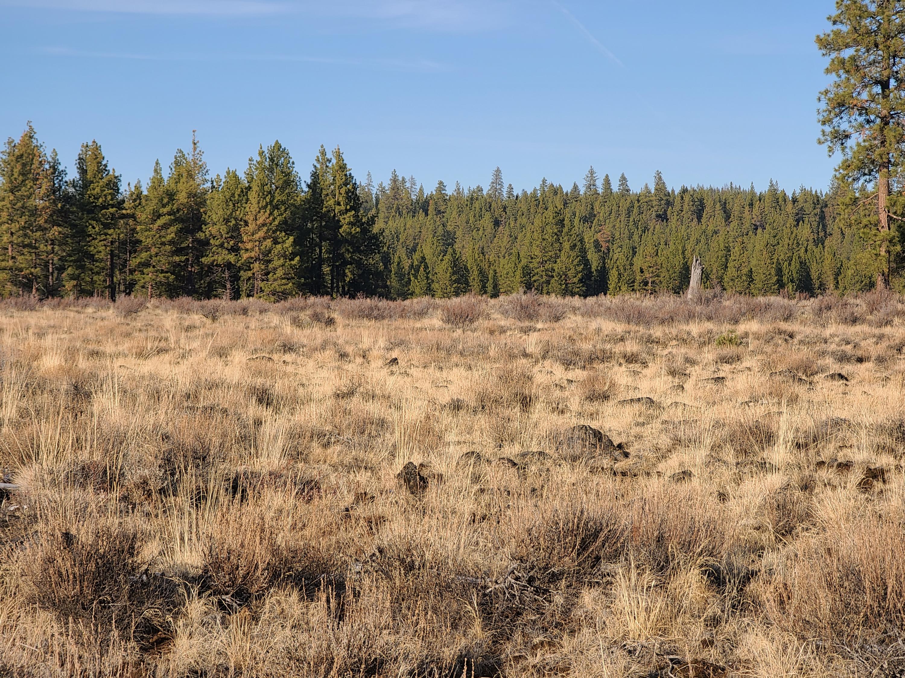 Klamath Falls Forest Estates -Sycan Unit - Land