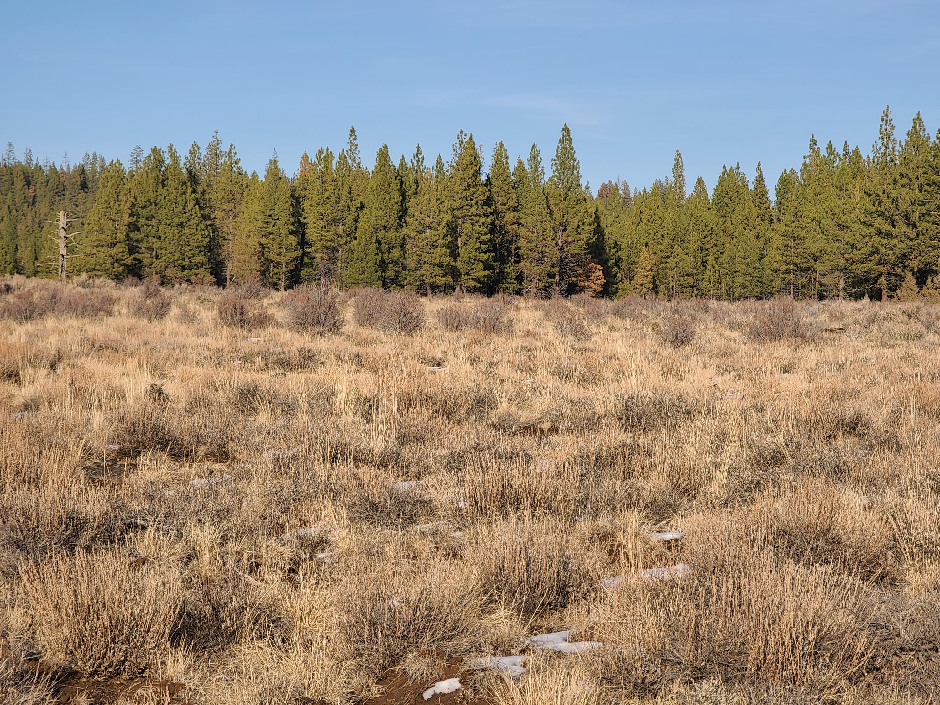 Klamath Falls Forest Estates -Sycan Unit - Land