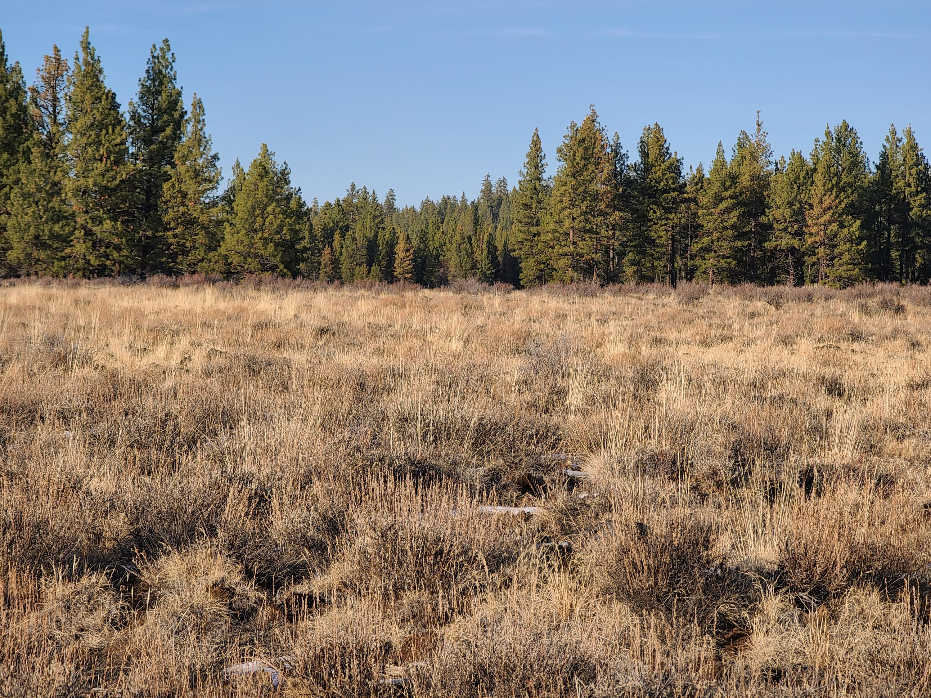 Klamath Falls Forest Estates -Sycan Unit - Land