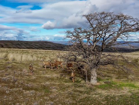 Tiny photo for 6100 Eightmile Road, The Dalles, OR 97058 (MLS # 220220770)