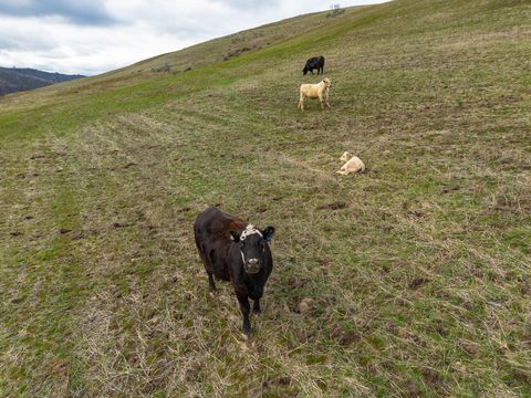Tiny photo for 6100 Eightmile Road, The Dalles, OR 97058 (MLS # 220220770)