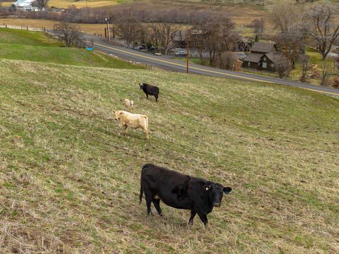 Tiny photo for 6100 Eightmile Road, The Dalles, OR 97058 (MLS # 220220770)