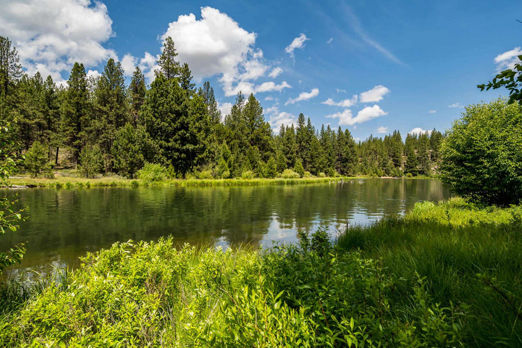 River Bluff Estate - Residential