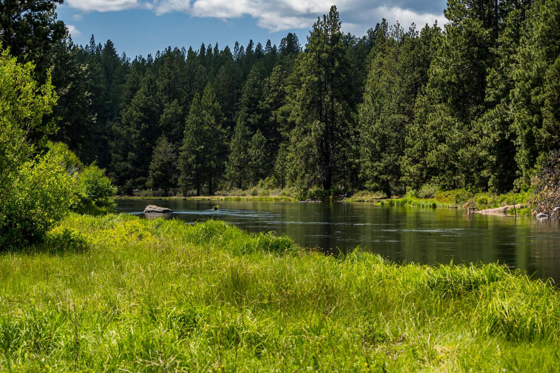 River Bluff Estate - Residential