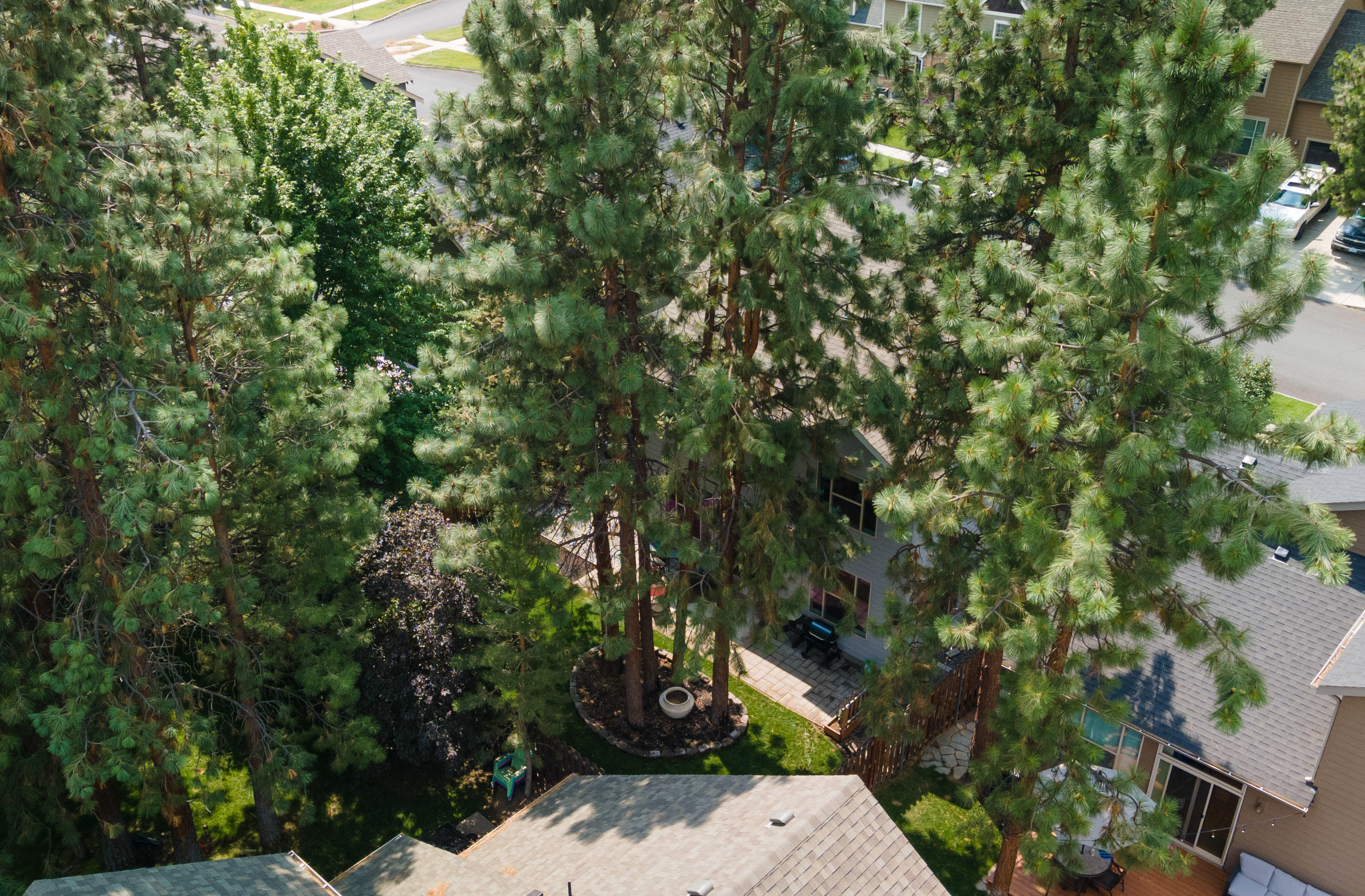 Pheasant Run - Residential