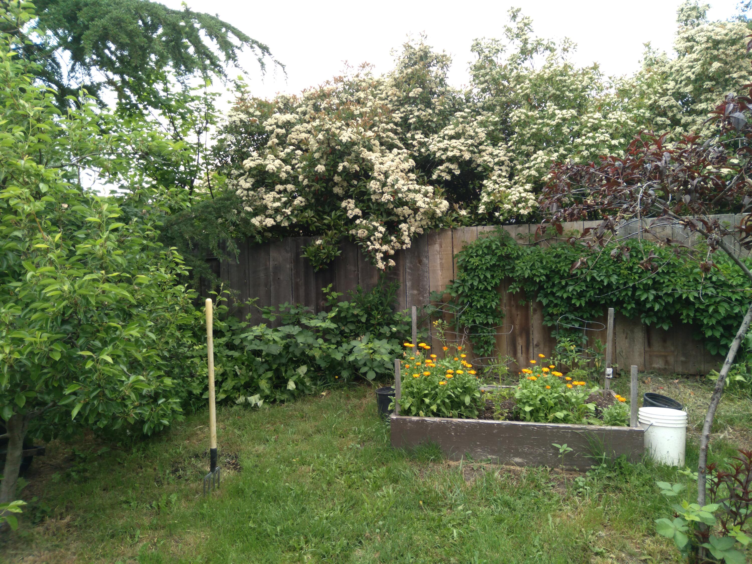 Quiet Village - Residential