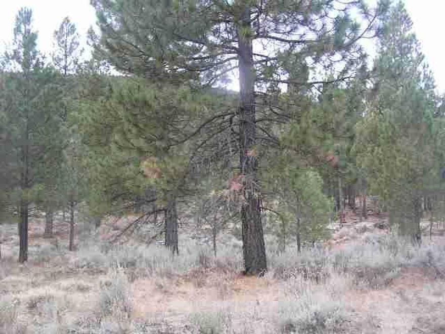 Here Is An Opportunity For A New Way Of Life Where You Can Hike The Hills, Snowmobile, 4 Wheel Or Horseback And Enjoy The Wild Life. There Are Several Trails And Roads Through The Property. Some Open Area Plus Heavily Wooded Up The Hill. About 1/2 Mile Frontage On Old Fort Rd. All On The West Side Of The Road. It Runs Approx. 4300 Feet Deep Nearly To The Top Of The Hill. Bruce Has Reviewed With Planning The Possibility Of Dividing The Property Into Two Parcels And Obtain Two Building Permits.There Is An Existing Building Site Up Behind The Barn. There Is A Well At That Site And A Vault That Must Be Pumped From Time To Time For Septic. Adkins Surveying Has Mapped The Property And The Seller Has Marked The Approx. Front Corners With Red Tape. One Is Wrapped Around A Tree Back Toward Town From The Gate And The Other Is Beyond The Gate At The Next Power Pole. Ask Bruce D About The Possibility Of Dividing Etc. The Property Was Logged About 20 Years Ago But Still Heavily Wooded Back Off T