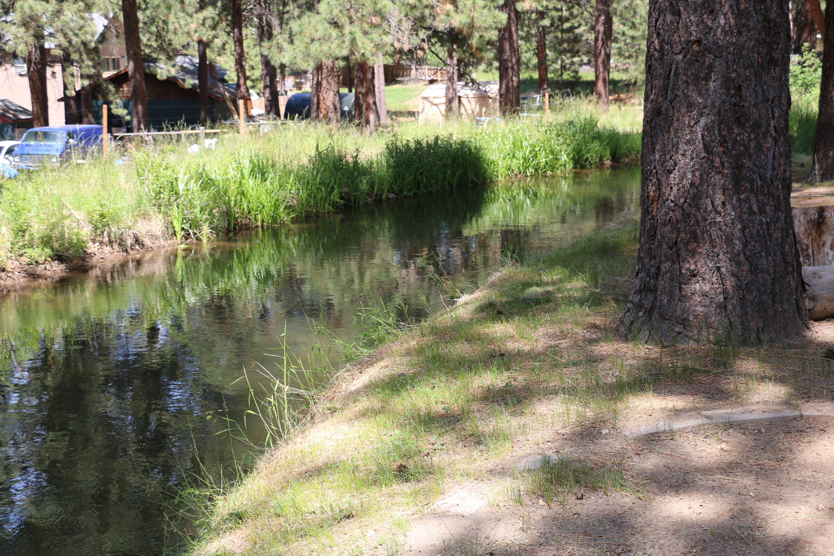 Deschutes RiverWoods - Residential