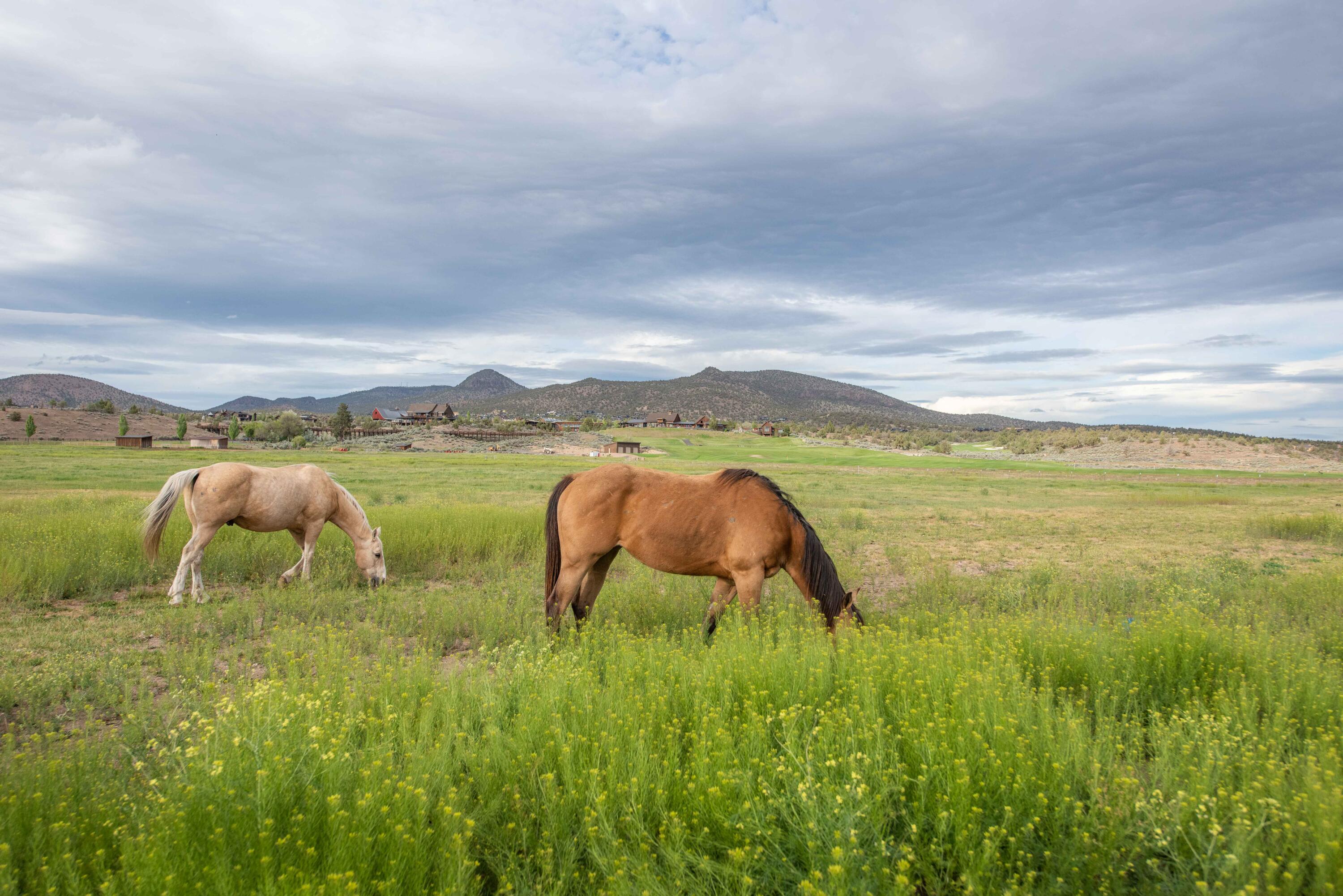 Brasada Ranch - Residential